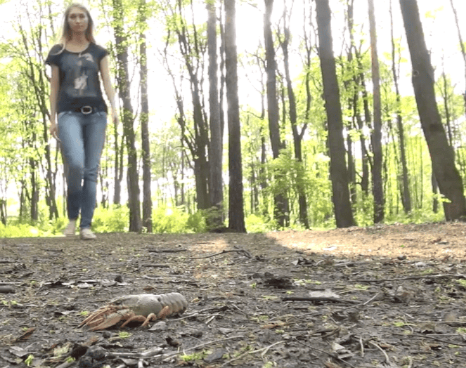 Crush Fetish - Girl Crushing Crawdads in the Park Under Flat Sandals