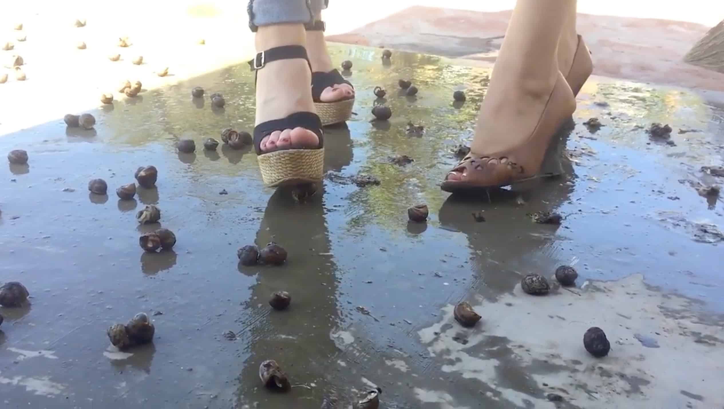 Crush Fetish - Tow Girls Crushing Snails in Open Toes high Heel