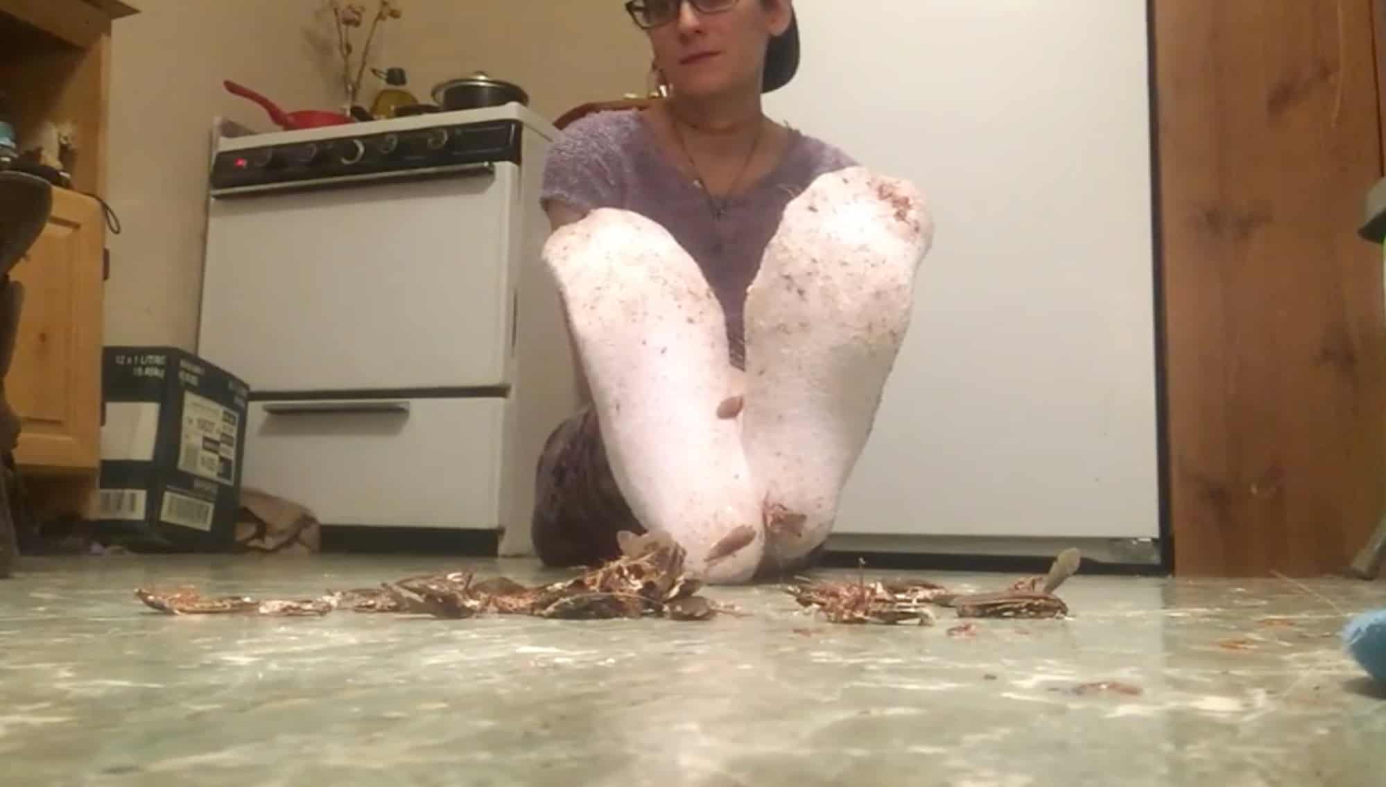 Crush Fetish - Girl Crushing Cockroaches Under Her Dirty Socks