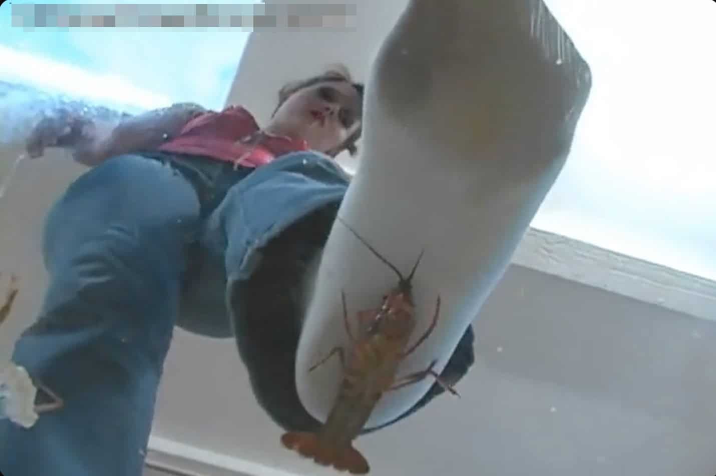 Crush Fetish - Girl Crushing Crawdads Wearing Socks. Underglass View.