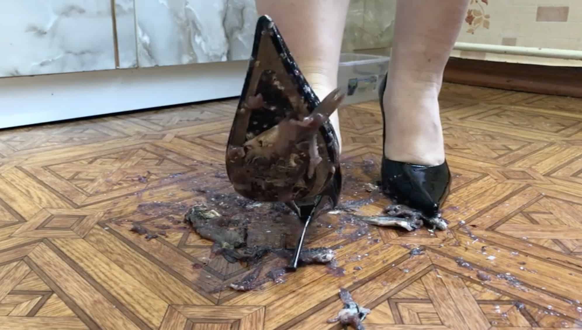 fish crushed under the shoe of a girl
