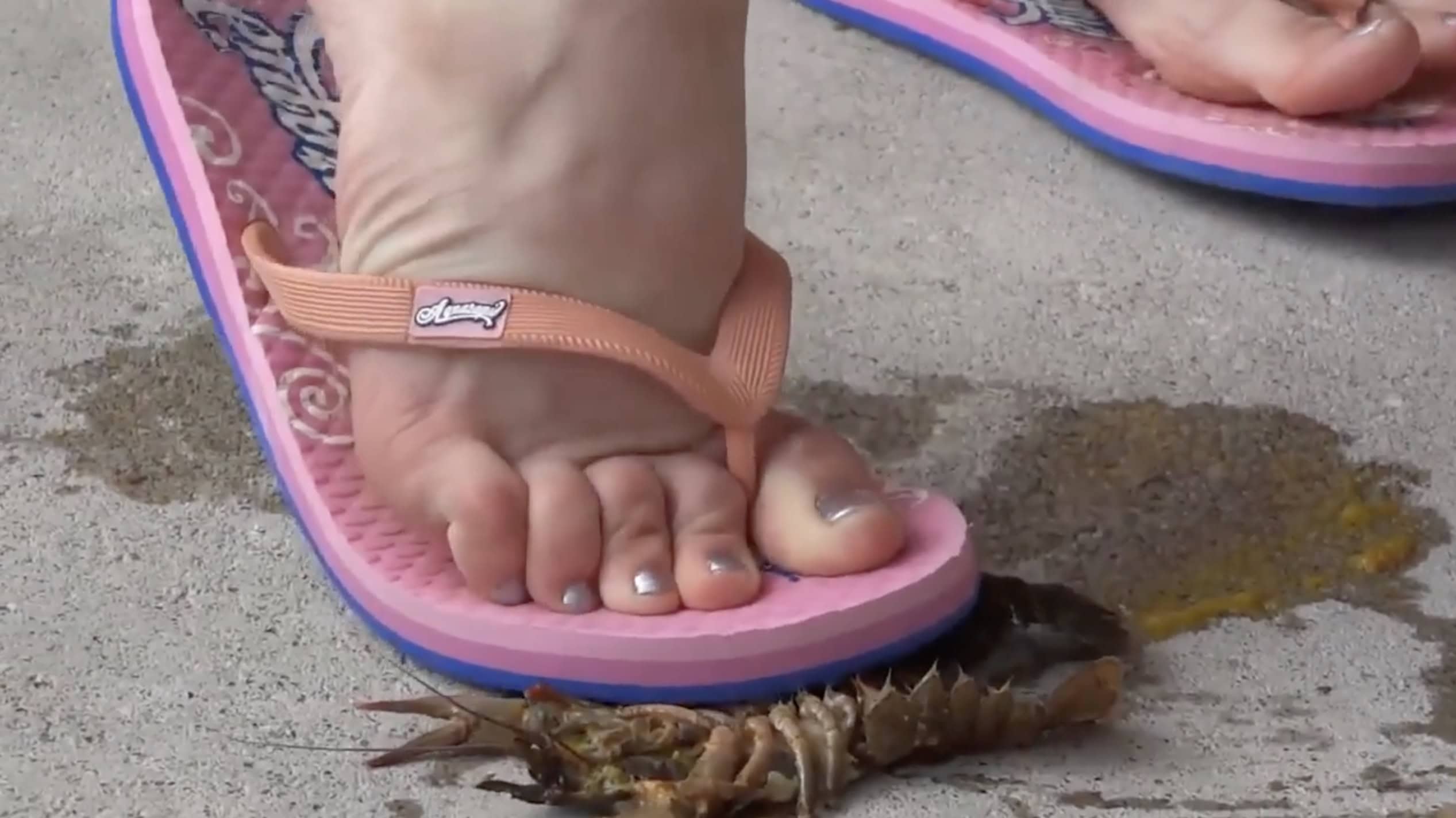 foot wearing flip-flops crushing crawdads