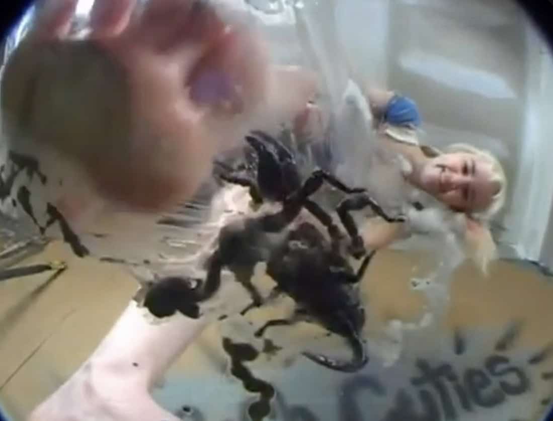 crushing scorpion under barefeet 